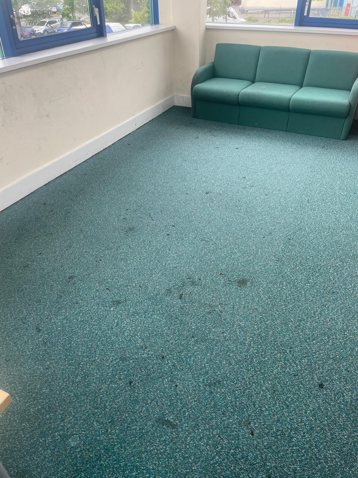 Professional carpet cleaning result in Surrey home - 24