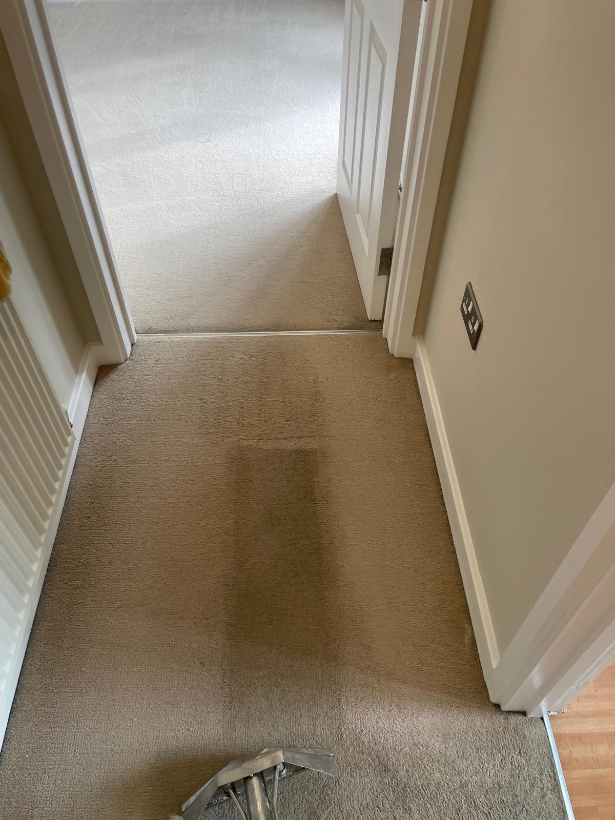 Professional carpet cleaning result in Surrey home - 36