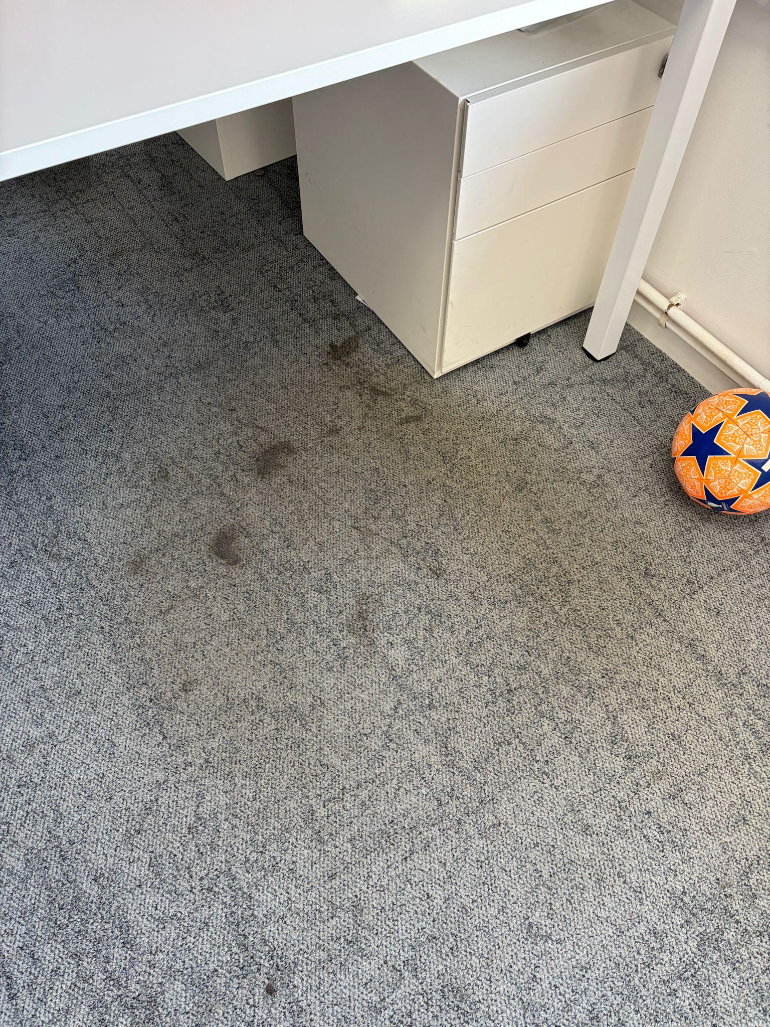 Business carpet cleaning transformation Surrey - 12