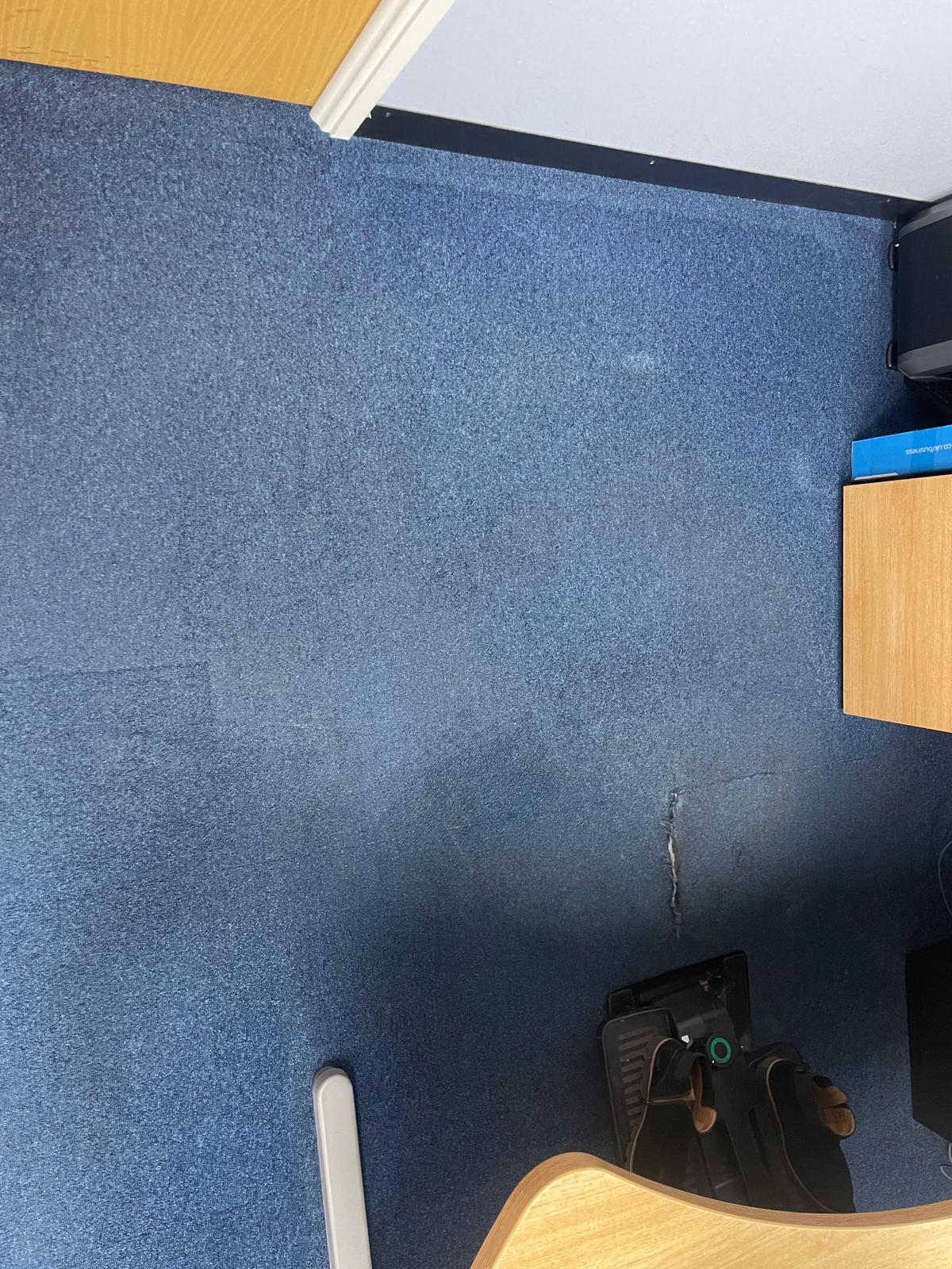 Professional business carpet clean Surrey - 26