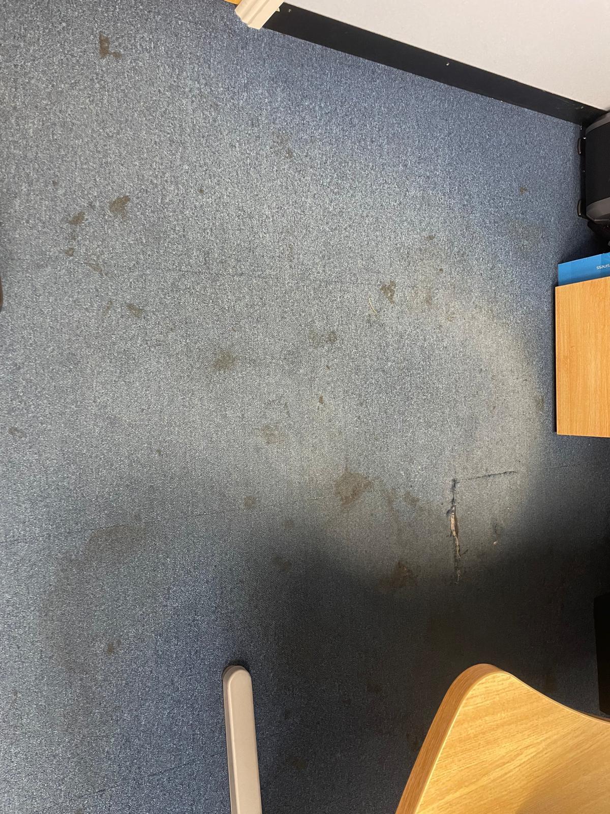 Conference room carpet after hot water extraction