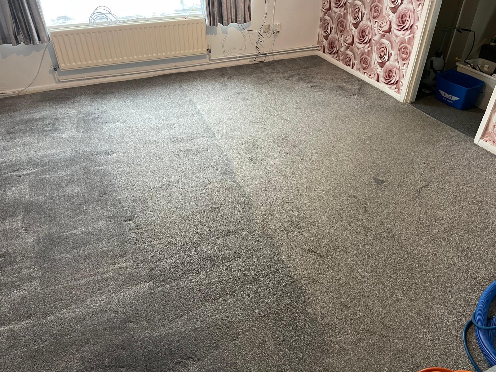 Deep carpet cleaning transformation Surrey - 01