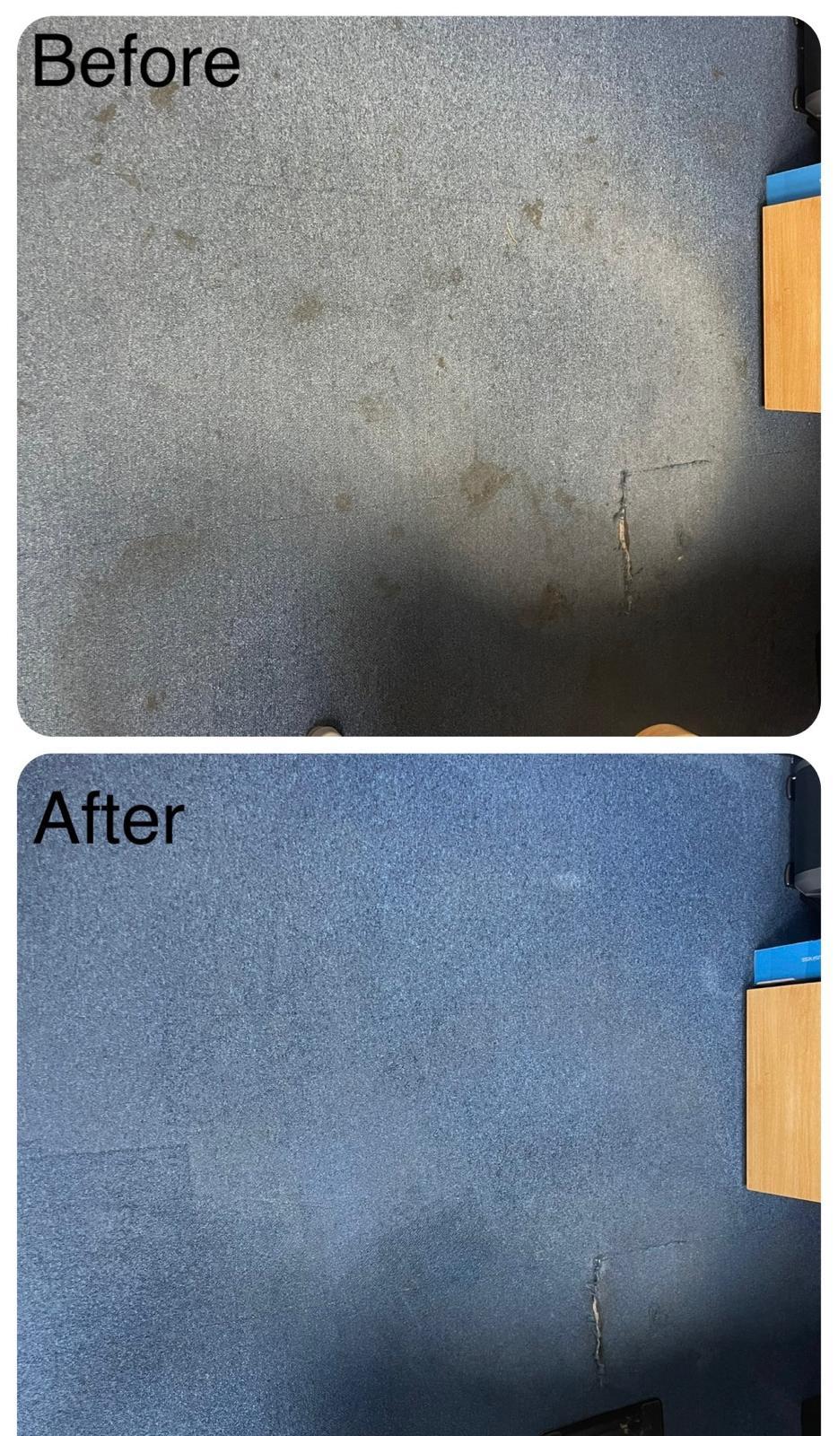 Deep carpet cleaning transformation Surrey - 31