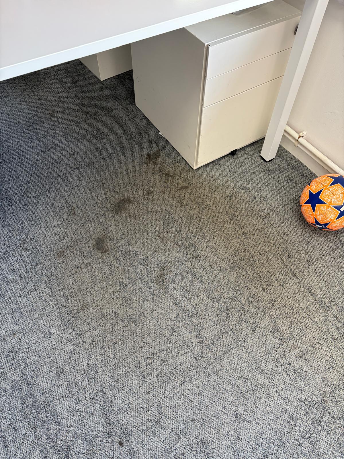 Deep carpet cleaning transformation Surrey - 49