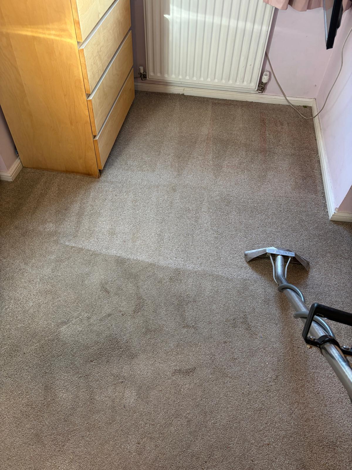 Deep carpet cleaning transformation Surrey - 61