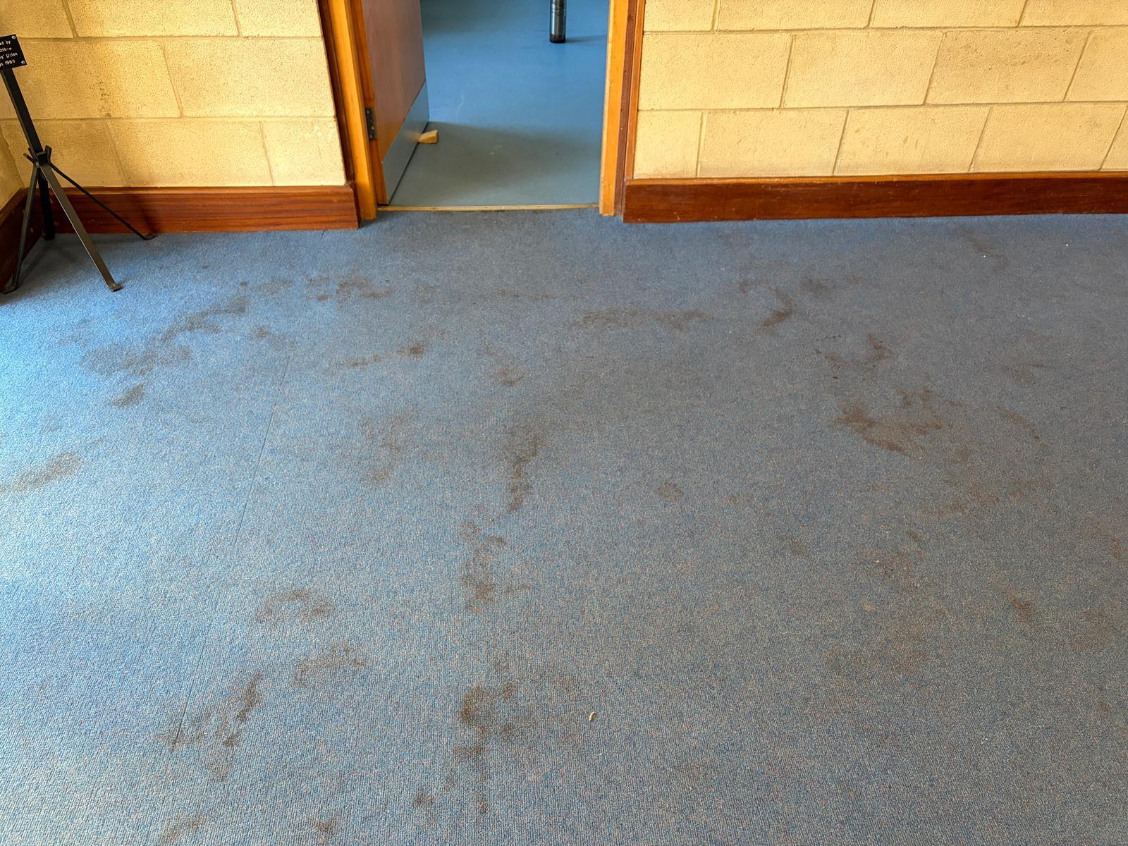 Sofa and carpet cleaning Surrey - 58
