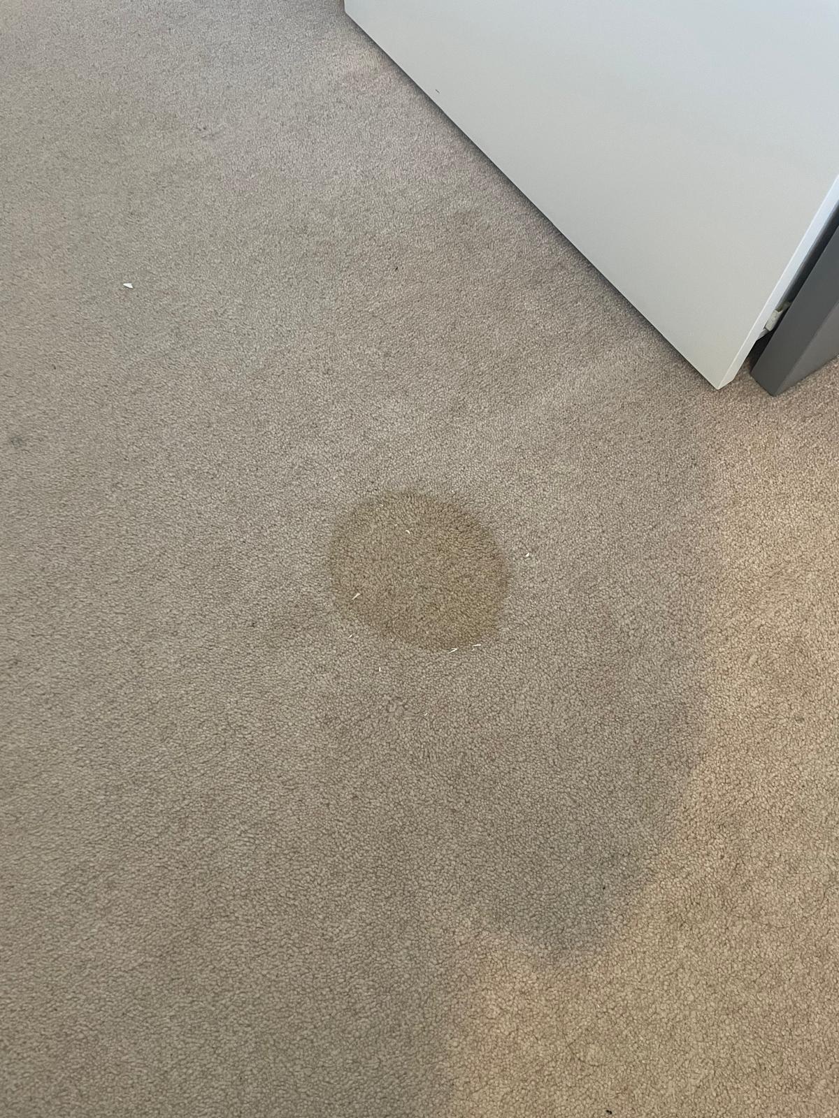 Sofa and carpet cleaning Surrey - 64