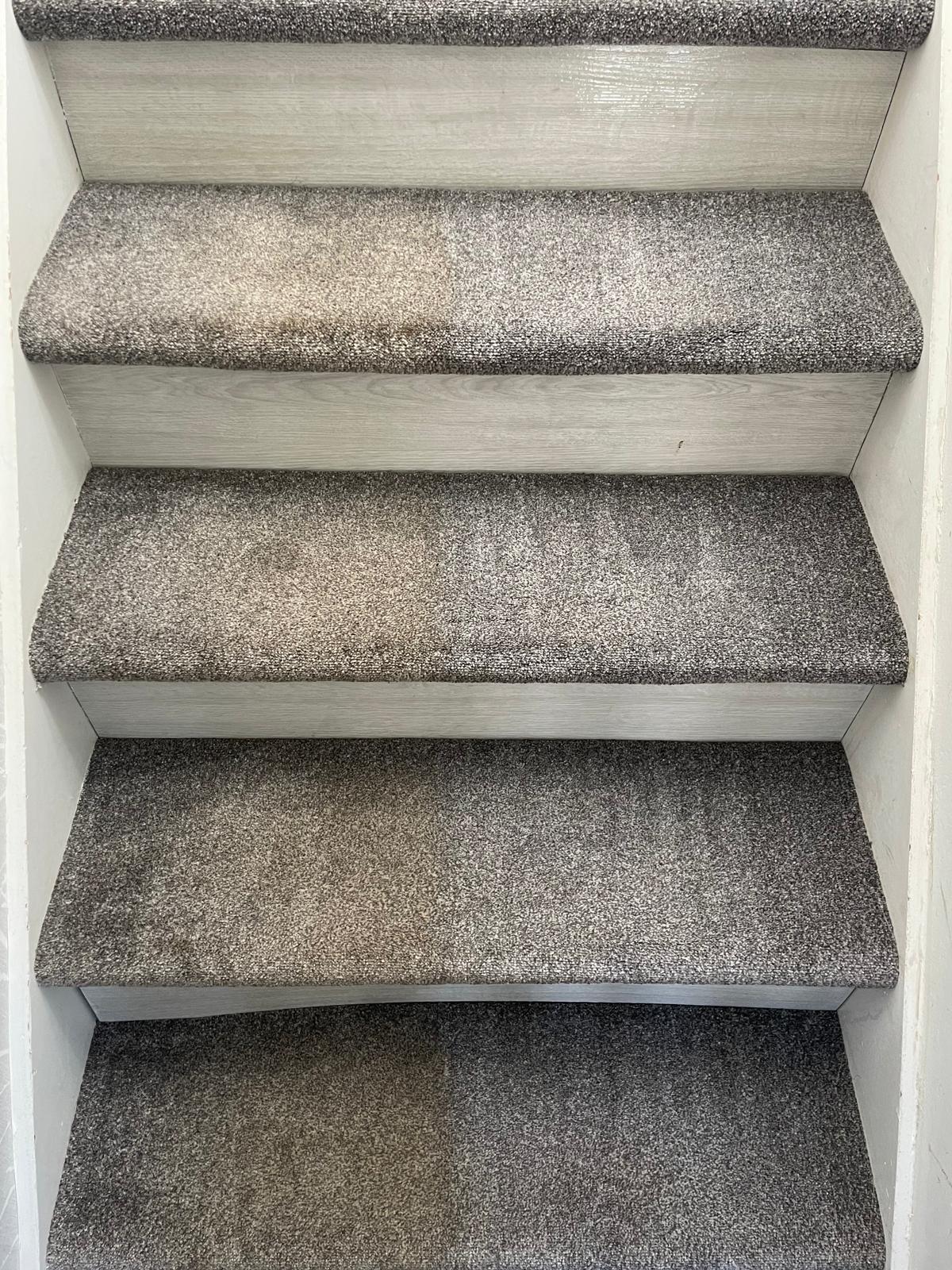 Sofa and carpet cleaning Surrey - 70