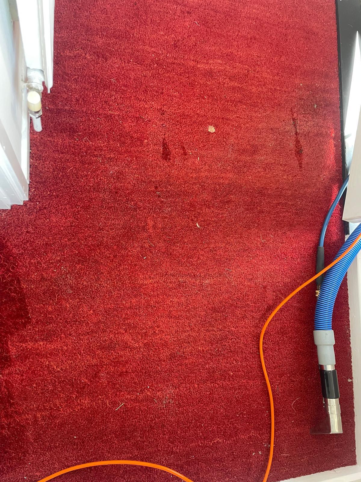Stairs carpet cleaning result Surrey - 05