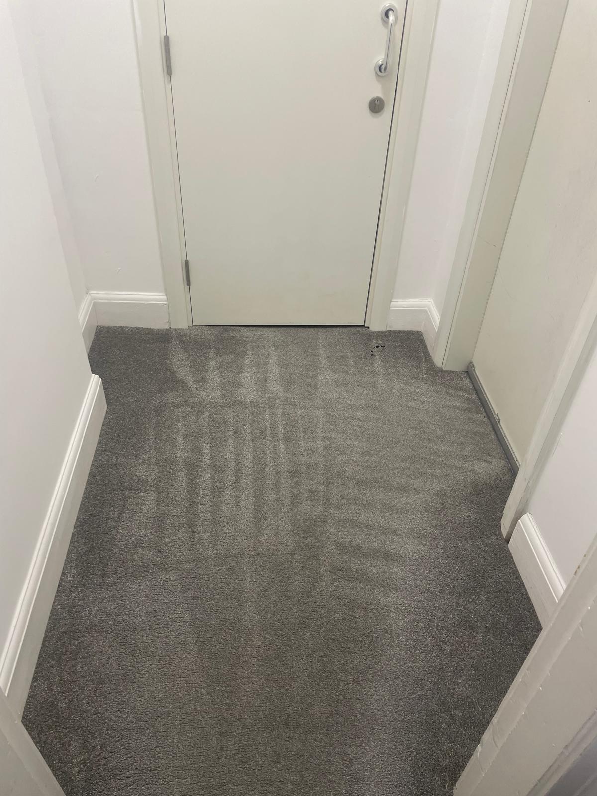 Stairs carpet cleaning result Surrey - 11