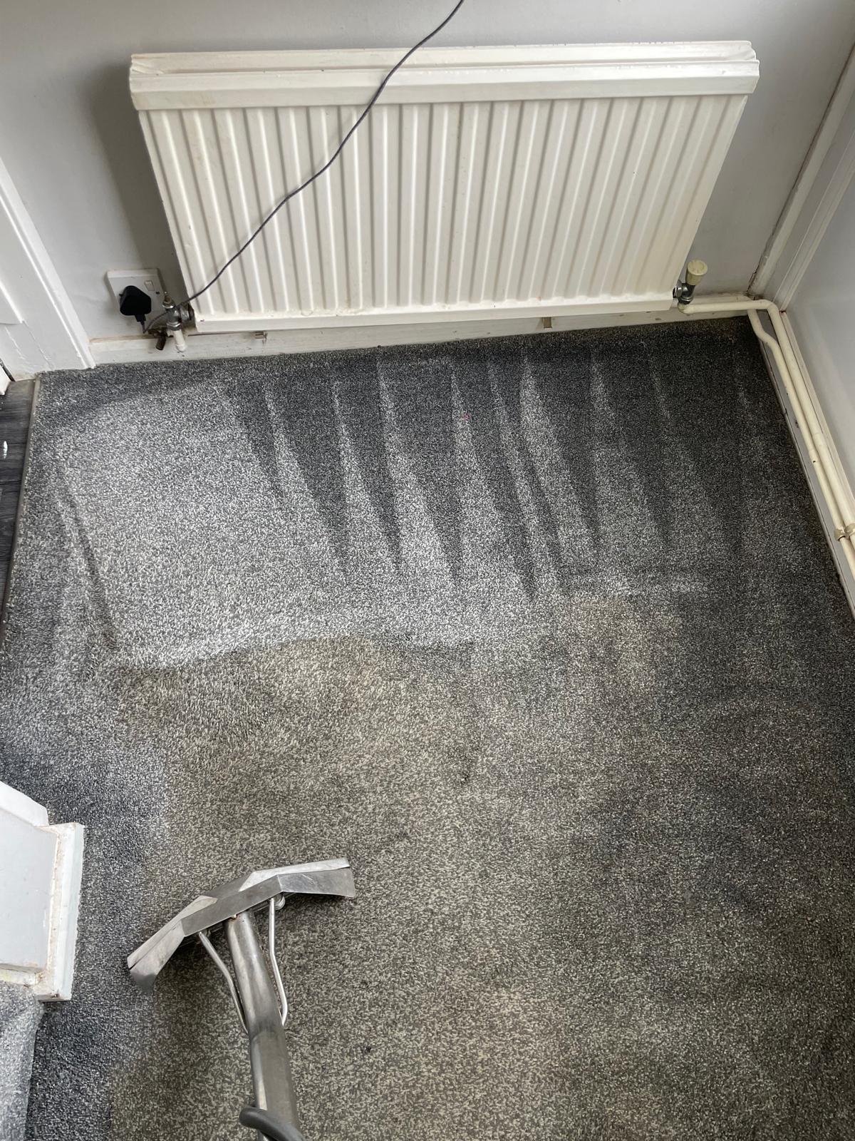 Stairs carpet cleaning result Surrey - 41